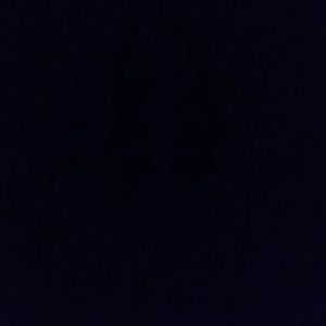 Meet your Posher, Jazmine