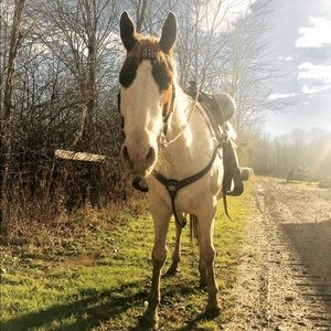 Meet your Posher, Miranda