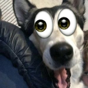 Meet your Posher, Mandy