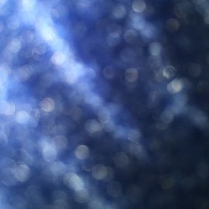 Meet your Posher, Terrell