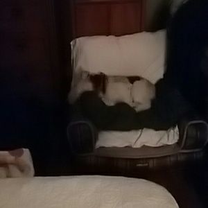 Meet your Posher, Carl