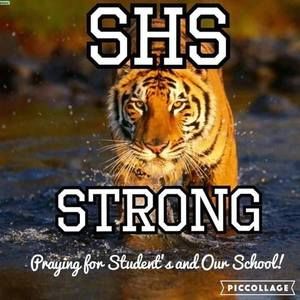 Meet your Posher, Roy