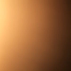 Meet your Posher, Leonard