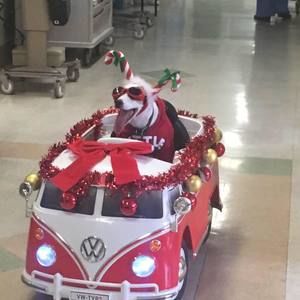 Meet your Posher, Connie