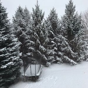 Meet your Posher, Ailime