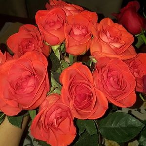 Meet your Posher, Divina