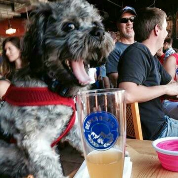 Meet your Posher, Tami