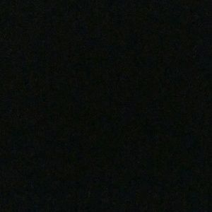 Meet your Posher, Damonte