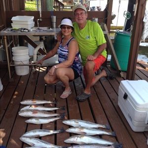 Meet your Posher, Annette