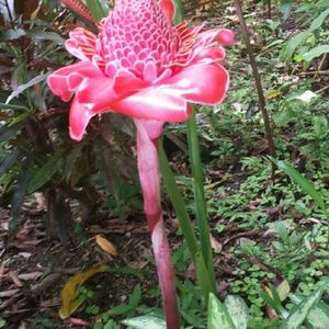 Meet your Posher, Natasha