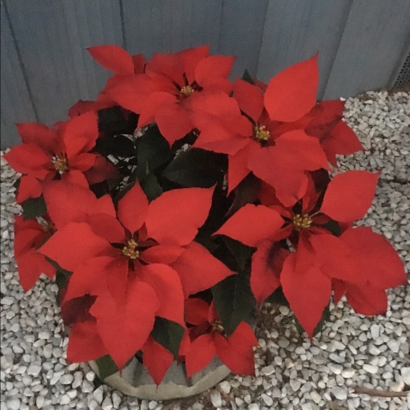 Meet your Posher, Joy