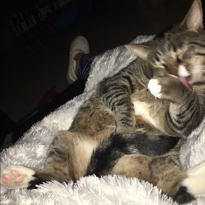 Meet your Posher, Patricia