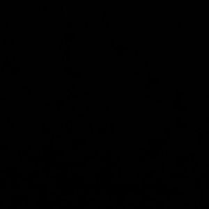 Meet your Posher, Devin