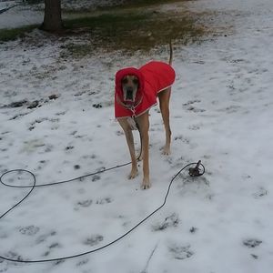 Meet your Posher, Christina