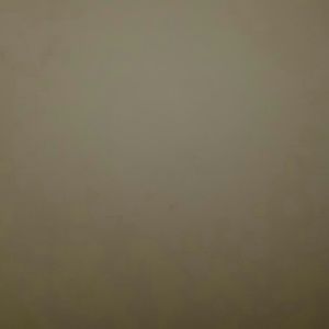 Meet your Posher, Shanelle