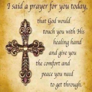 Meet your Posher, Alison