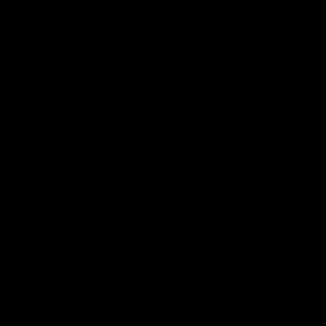 Meet your Posher, Evan