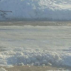 Meet your Posher, Marsha