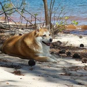 Meet your Posher, Marie