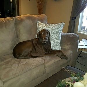 Meet your Posher, Dena