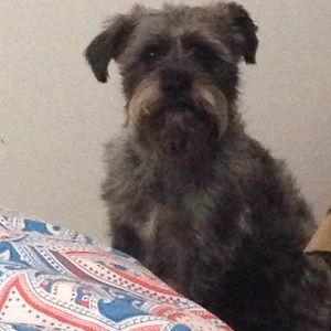 Meet your Posher, Nikki