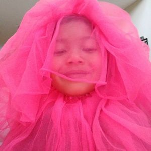 Meet your Posher, Phayline