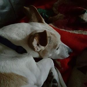 Meet your Posher, Paulette