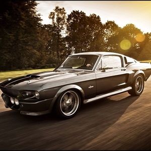 Meet your Posher, Warren