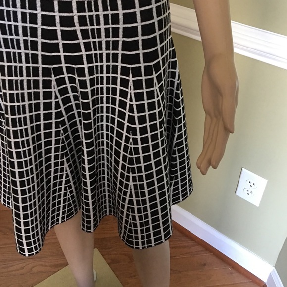 The Limited - Picture 4 of 4