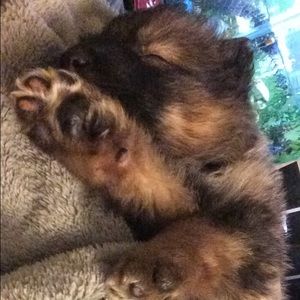 Meet your Posher, Kenzie