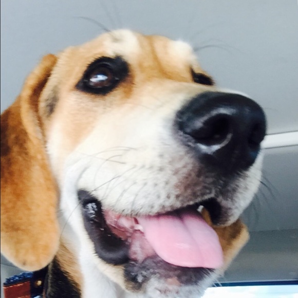 Meet your Posher, Aaron - Picture 1 of 1