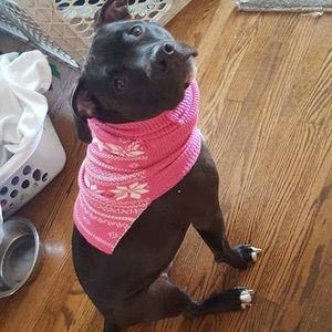 Meet your Posher, Ruth