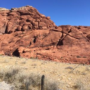 Meet your Posher, Misty