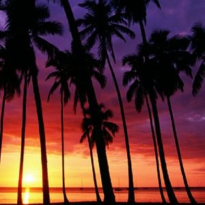 Meet your Posher, Kyla