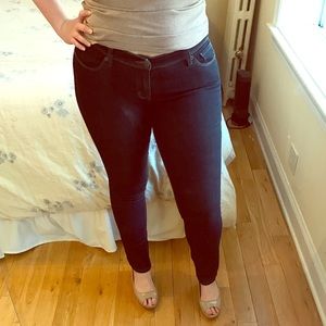 The Limited Denim Skinny Jeans