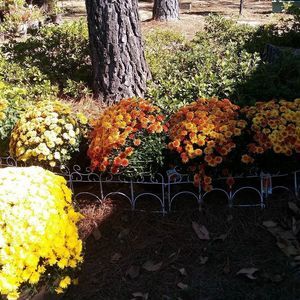 Meet your Posher, Naomi