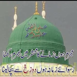 Meet your Posher, Qamar