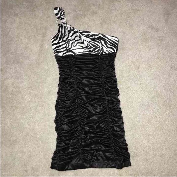 Zebra Stretch Dress