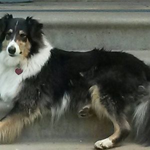 Meet your Posher, Leslie