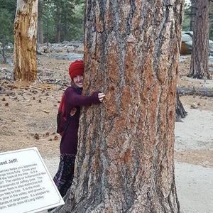 Meet your Posher, Kara