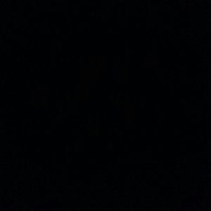 Meet your Posher, Jose