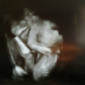 Meet your Posher, Tara