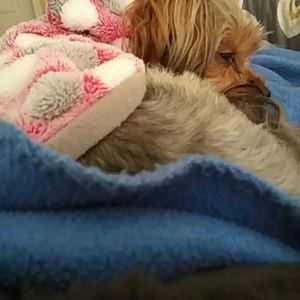 Meet your Posher, Angela