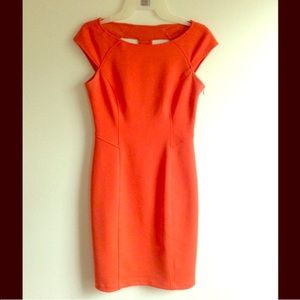 Maggy London Orange Bodycon Dress Sz 6