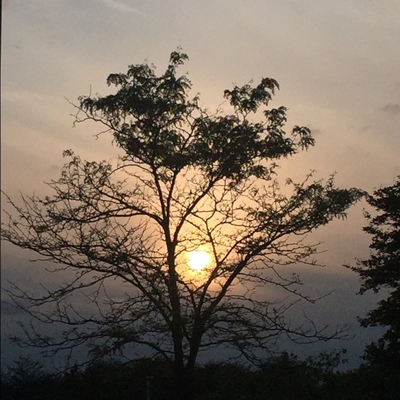 Meet your Posher, Dana - Picture 1 of 1