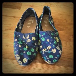 Dandelion Toms