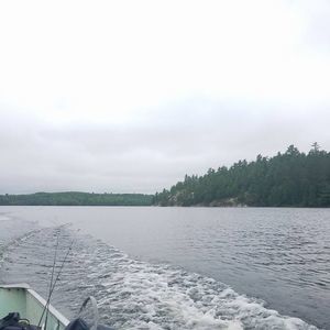 Meet your Posher, Cameron