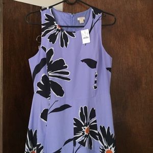 BNWT J Crew dress