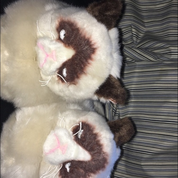 Grumpy cat slippers