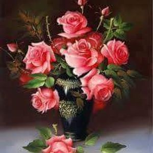 Meet your Posher, Daisy